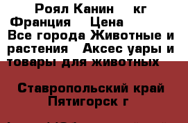  Роял Канин 20 кг Франция! › Цена ­ 3 520 - Все города Животные и растения » Аксесcуары и товары для животных   . Ставропольский край,Пятигорск г.